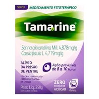 Tamarine Geleia Pote 250g Zero Acucar